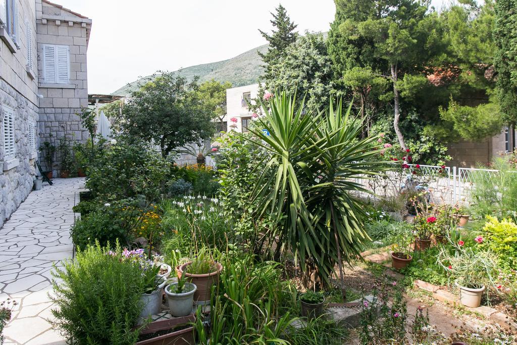 Yellow Room Guesthouse Дубровник Стая снимка